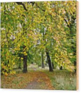 Path Under The Fall Canopy Wood Print