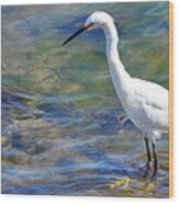 Patient Egret Wood Print