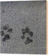 Paws Wood Print