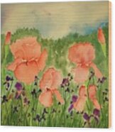 Peachy Watercolor Iris Wood Print