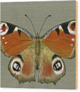Peacock Butterfly Wood Print