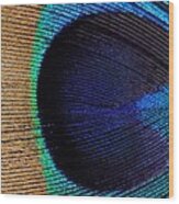 Peacock Weave Wood Print