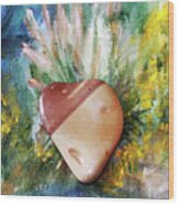 Pebble Heart Wood Print