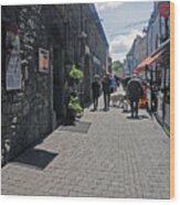 Pedestrian Street In Kilkenny Wood Print