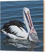 Pelican Fishing 6661 Wood Print