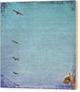 Pelican Fly Over #gulfshoresalabama Wood Print