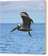 Pelican In Flight Wood Print