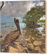 Pelican In The Florida Keys Wood Print