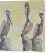 Pelicans Three Wood Print