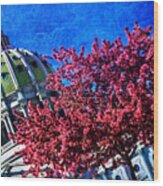 Pennsylvania State Capitol Dome In Bloom Wood Print