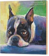 Pensive Boston Terrier Painting By Wood Print