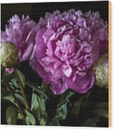 Peonies Still Life Wood Print