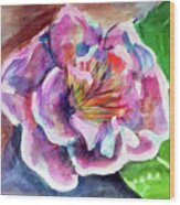 Peony Wood Print