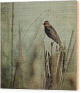 Perched On A Reed Wood Print
