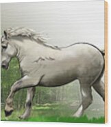 Percheron Horse Wood Print
