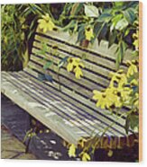 Perfect Garden Bench With Cone Flowers Wood Print