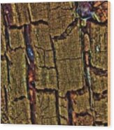 Petrification Wood Print