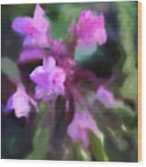 Philippine Orchid Abstact Wood Print