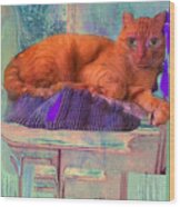 Phoenix Rescue Cat Love Wood Print