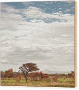 Pilanesberg National Park 21 Wood Print