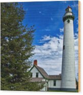 Pine At New Presque Isle Light Wood Print