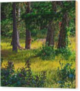 Pine Forest Wood Print
