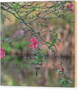 Pink Azalea Dream Wood Print