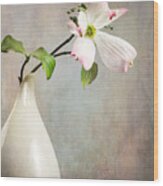 Pink Cornus Kousa Blossom In Creamer Wood Print