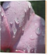 Pink Droplets Wood Print