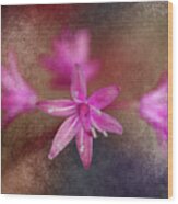 Pink Flowers Wood Print