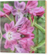 Pink Lily Flood Wood Print