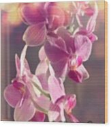 Pink Orchid Wood Print
