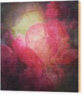 Pink Roses By Moonlight Wood Print
