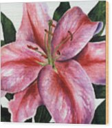 Pink Stargazer Lily Wood Print