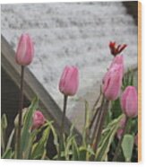 Pink Tulips Wood Print
