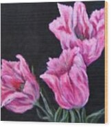Pink Tulips Wood Print