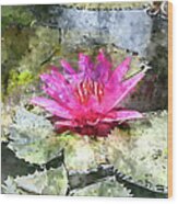 Pink Water Lilly With Digital Art Watercoloring Wood Print