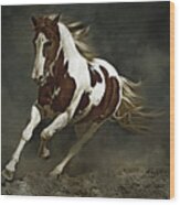 Pinto Horse In Motion Wood Print