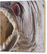 Piranha Fish Close Up Wood Print