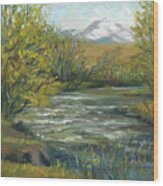 Plein Air - Spring In Montana Wood Print