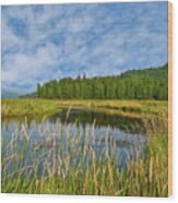 Plummer Creek Marsh Wood Print