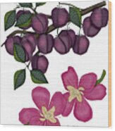 Plums And Plum Blossoms Wood Print