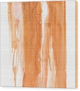Poinciana Tree Orange Wood Print
