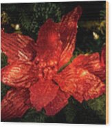 Poinsettia Wood Print