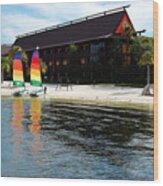 Polynesian Resort Beach Walt Disney World Prints Wood Print