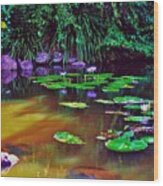 Pond Of Tranquility Wood Print
