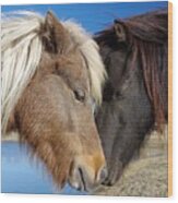 Pony Love Wood Print