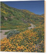 Poppies Along Riverbed Wood Print