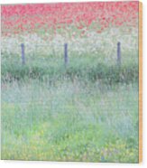 Poppies And Buttercups, Wild Flower English Meadow Wood Print