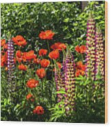 Poppies And Lupines Wood Print